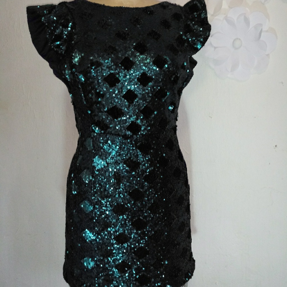 ZARA BASIC COLLECTION BRAND DRESS